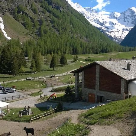 La Ferme Du Grand Paradis Конье Экстерьер фото