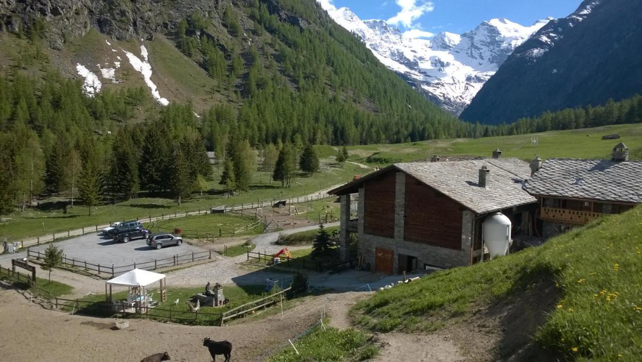 La Ferme Du Grand Paradis Конье Экстерьер фото