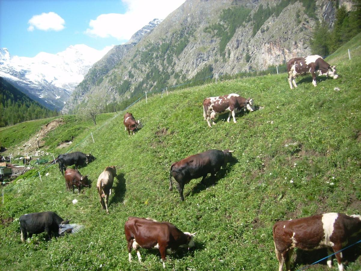 La Ferme Du Grand Paradis Конье Экстерьер фото